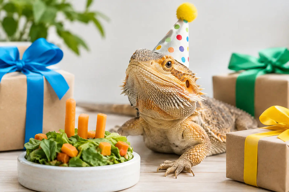 12 Best Reptile Birthday Presents They’ll Love