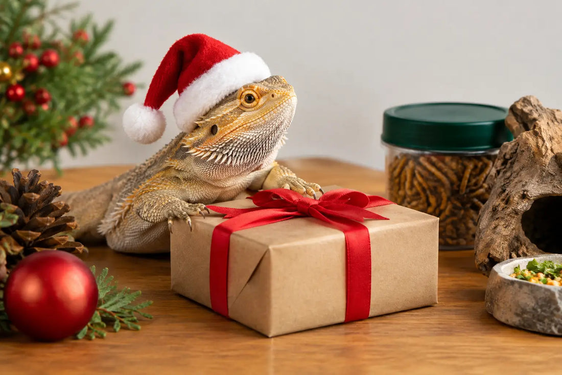 A Reptile Stocking Stuffer Guide for Gift Givers